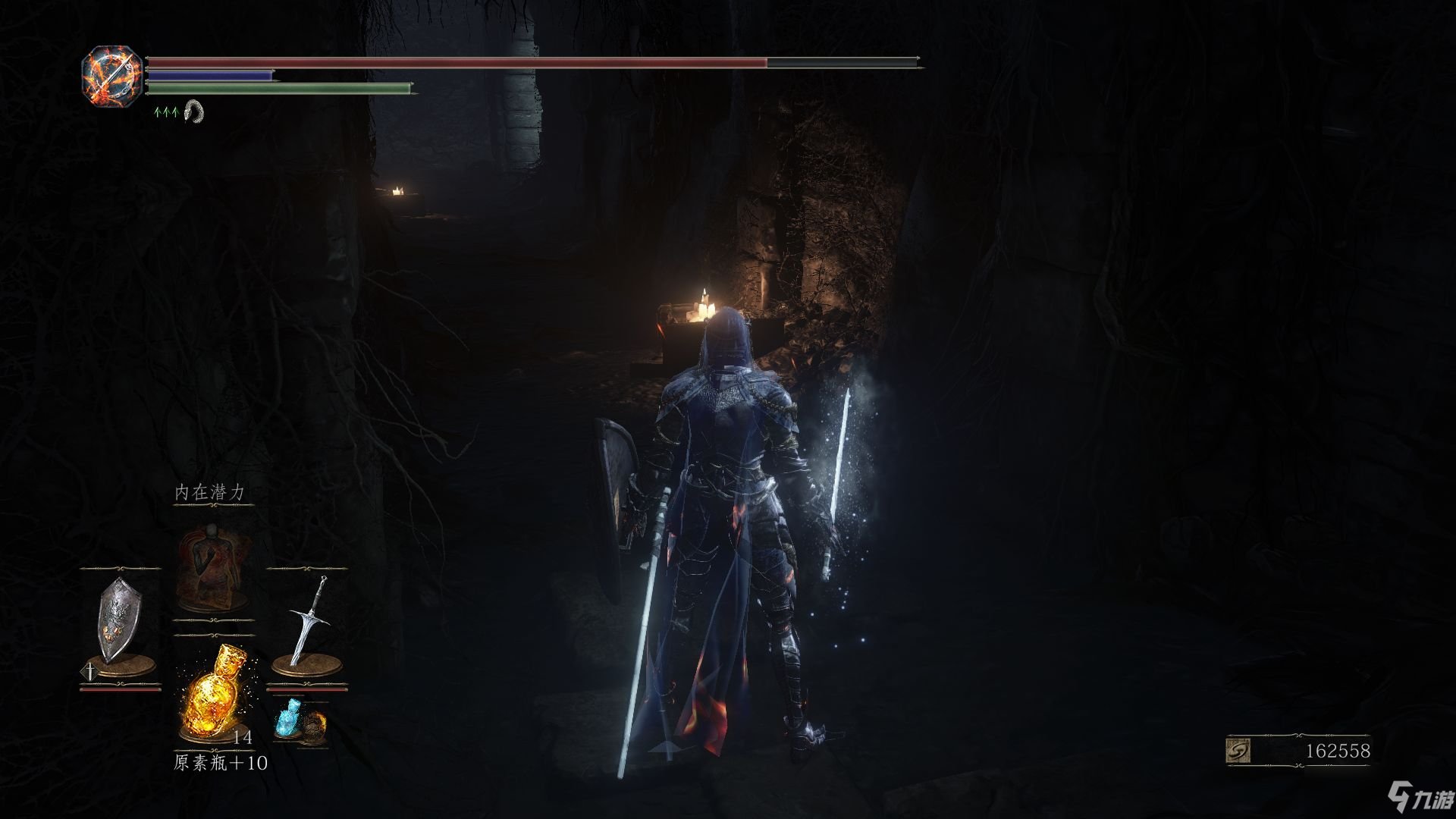 只狼：影逝二度 终极版 截图16